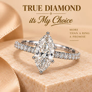 Marquise 2